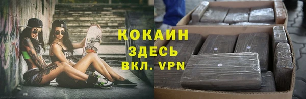 трава Арсеньев