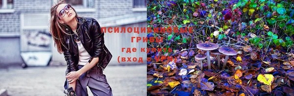 трава Арсеньев
