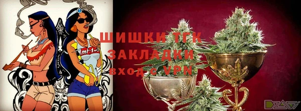 трава Арсеньев