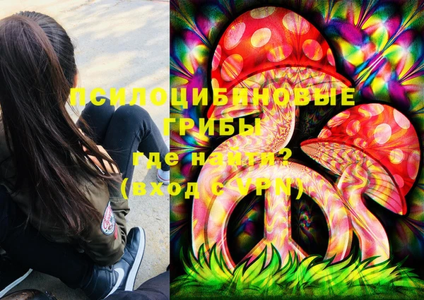 трава Арсеньев