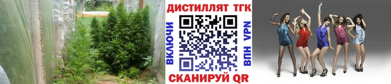 закладки  Михайлов  OMG сайт  ТГК вейп 