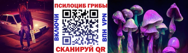Галлюциногенные грибы Cubensis  продажа наркотиков  Михайлов 